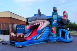 1shark20slide 1747830452 Shark Combo