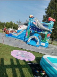 SHARK201 1747830452 Shark Combo