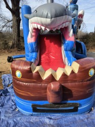 SHARK20 1747830452 Shark Combo