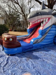 shark20combo20front20right 1747830453 Shark Combo
