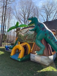 Screenshot202025 07 2520222938 1753497034 Dinosaur Combo