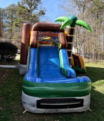 dino20slide 1753497033 Dinosaur Combo