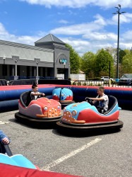 Bumper Cars