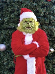 Grinch Character Appearance