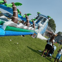 MEGA20W20SLIP20_1747842412_big